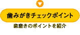 歯磨きチェックポイント