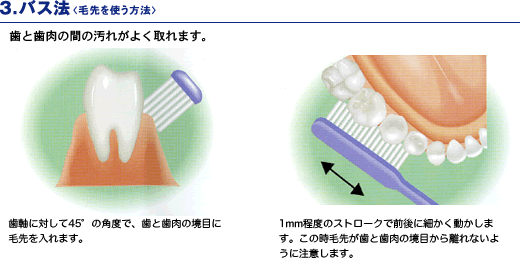 3.バス法